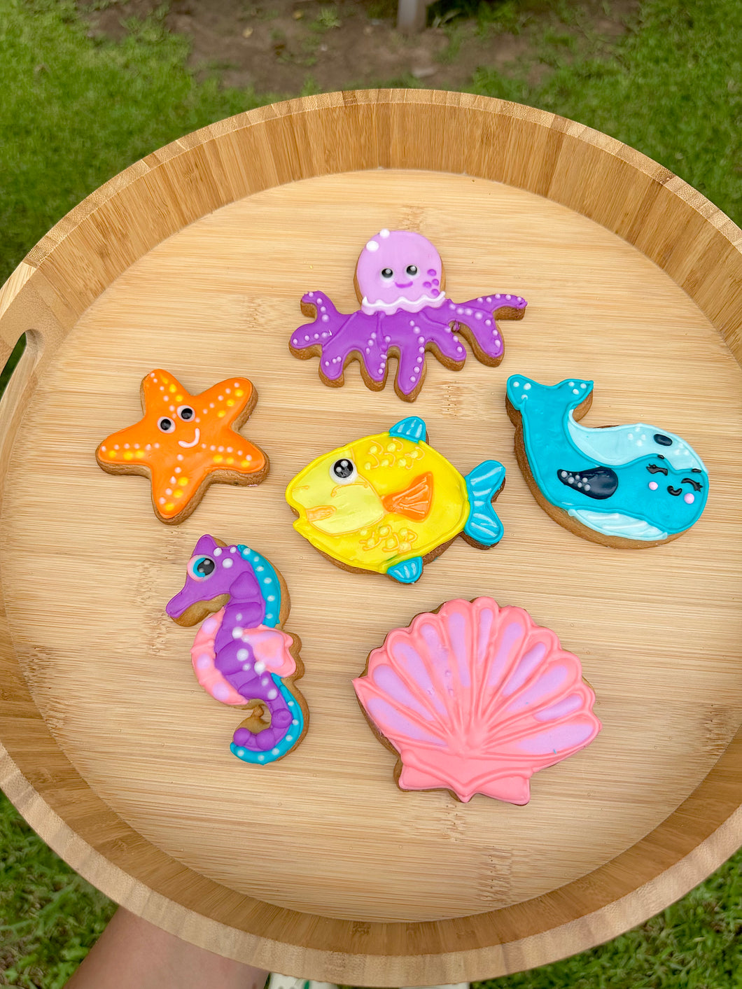 Ocean Royal Icing Cookie Class- Sat 24th Feb 10am