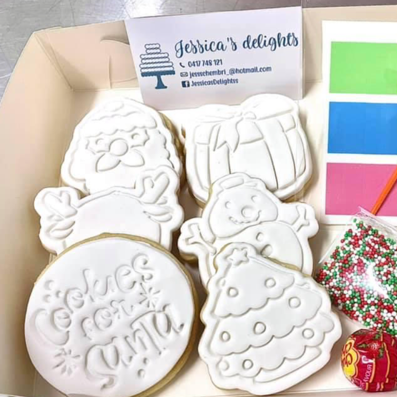 Christmas Paint your own Cookies