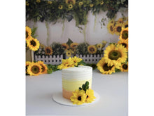 Load image into Gallery viewer, Ombre Textured Smash Cake
